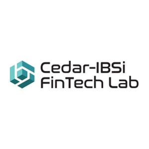 Cedar-IBSi FinTech Lab, Sahil Anand