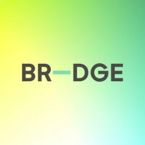  BR-DGE, Polani Travel, Payment Orchestration, UK